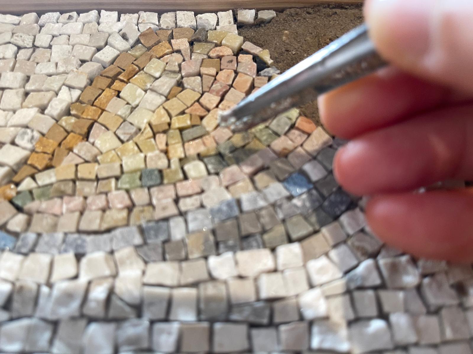 Laboratorio Mosaico